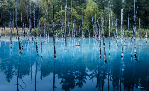 12oct2025,Shirogane Blue pond, Hokkiado,iso200,35mmf8.0,1/3sec