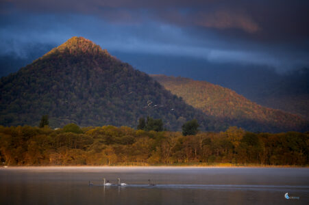 LakeKussharo, iso560,200mmf9.0,1/200sec
