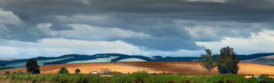 Canterbury Plains