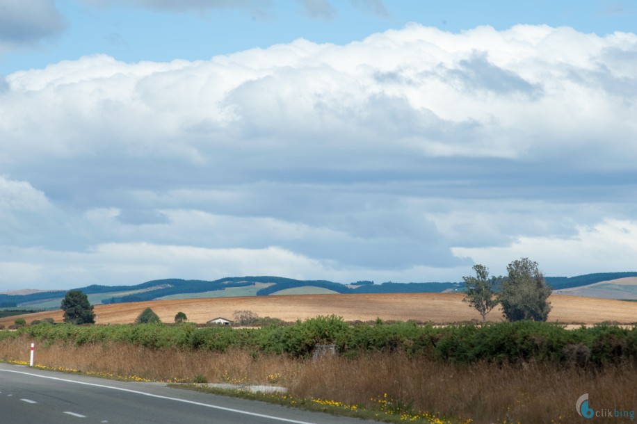 Canterbury Plains