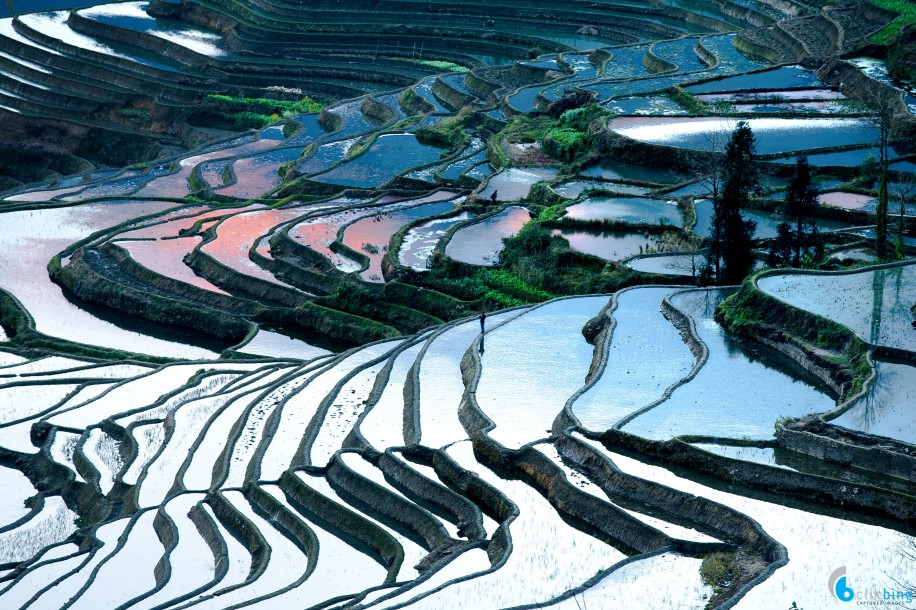 Yuanyang Rice terraces