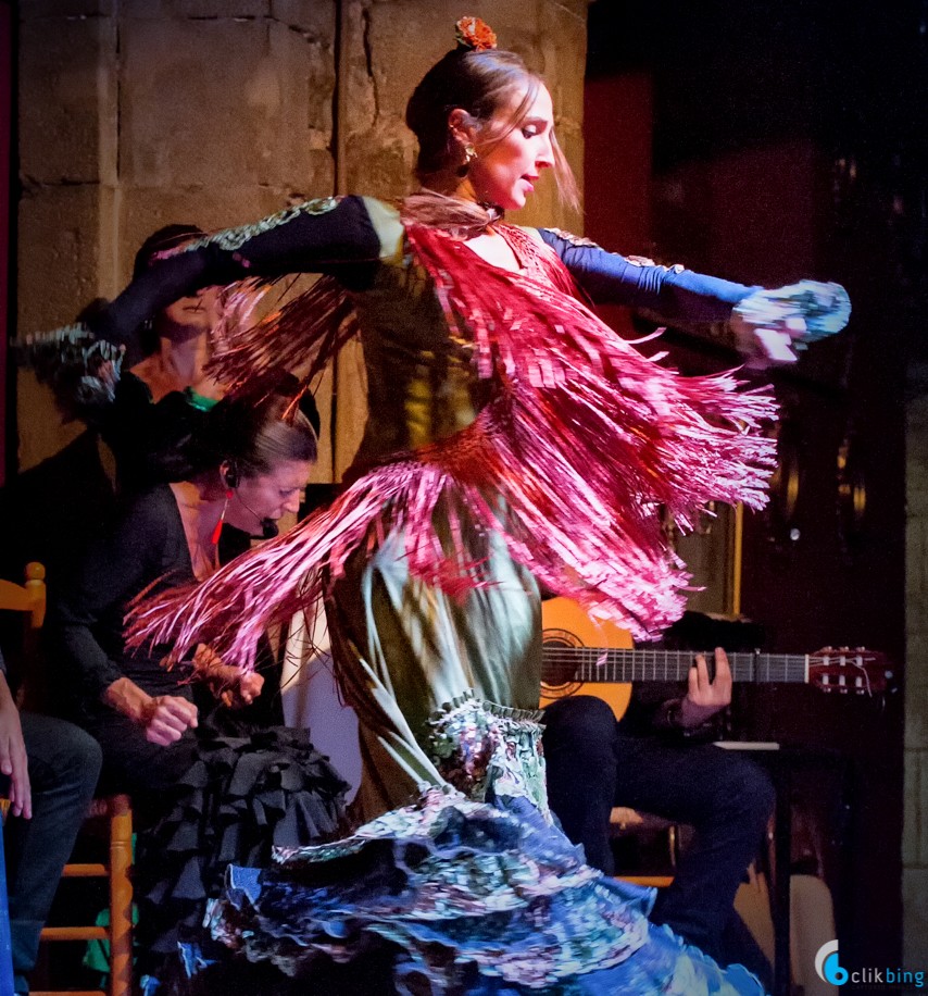 Flamenco Dancers Barcelona