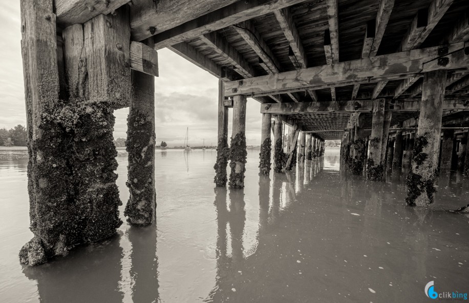 Mapua Wharf Nelson