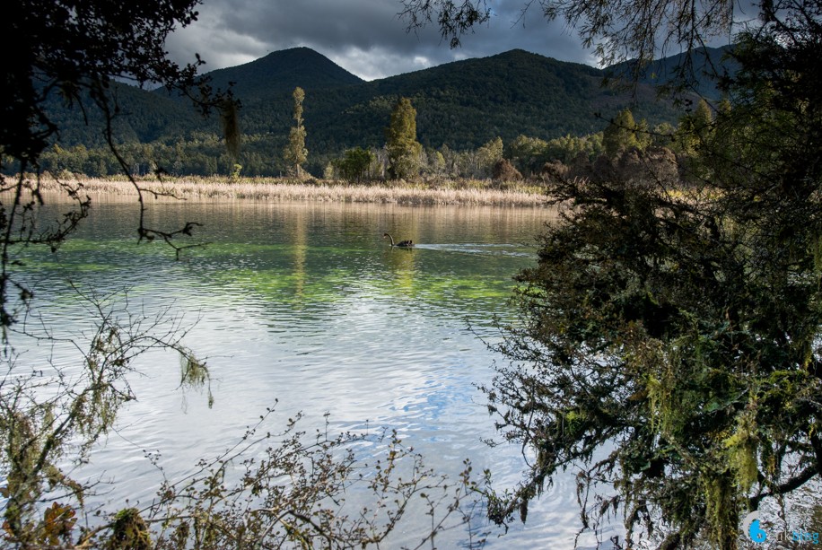 Lake Rotorua