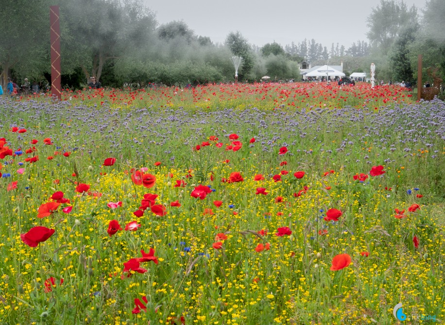 Wildflower Sculpture Exhibition