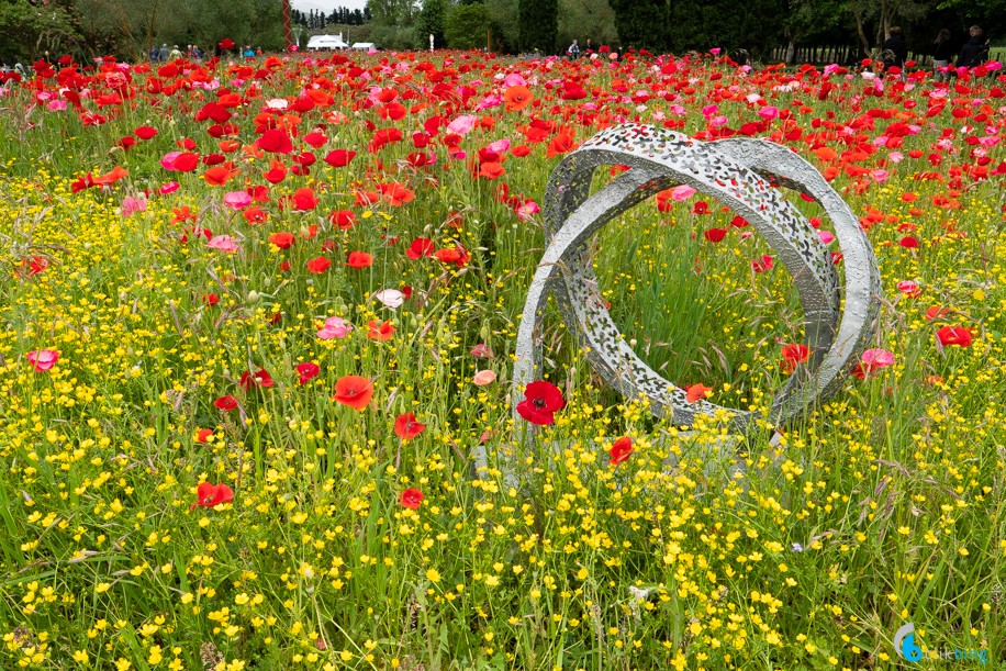 Wildflower Sculpture Exhibition