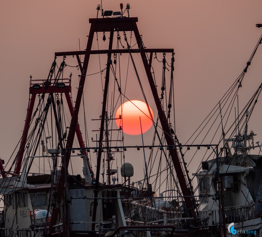 Tai O