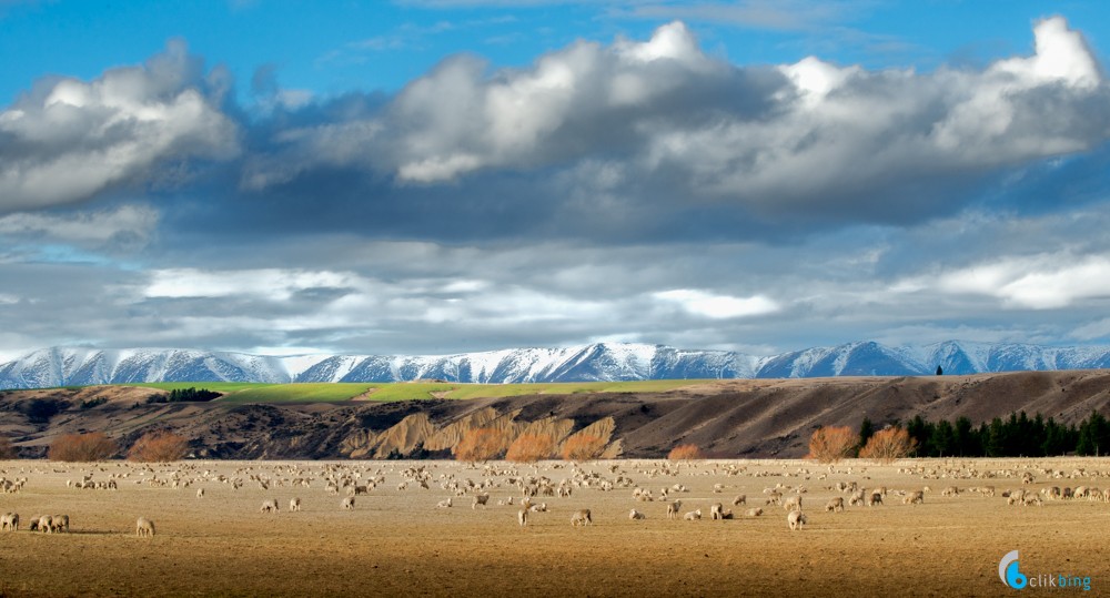 Central Otago