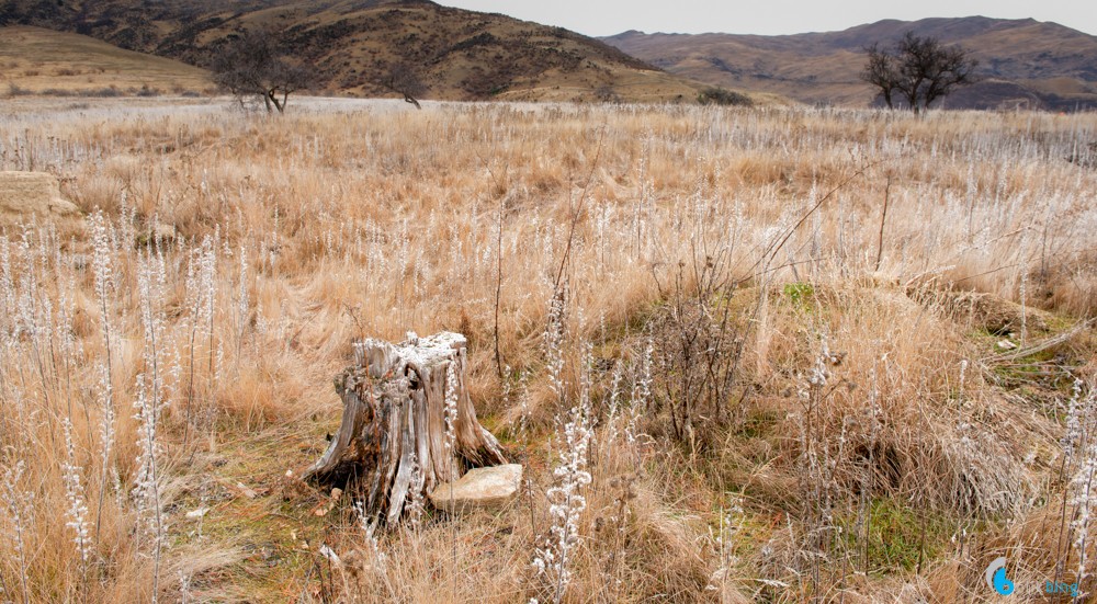 Central Otago