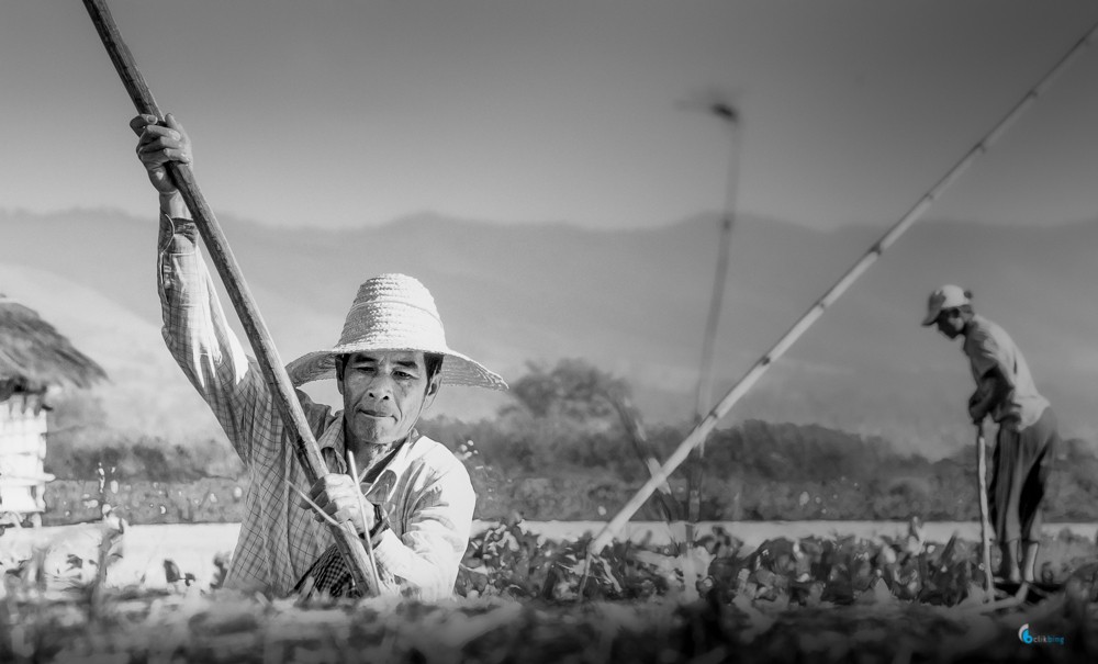 Inle Lake Myanmar Revisited