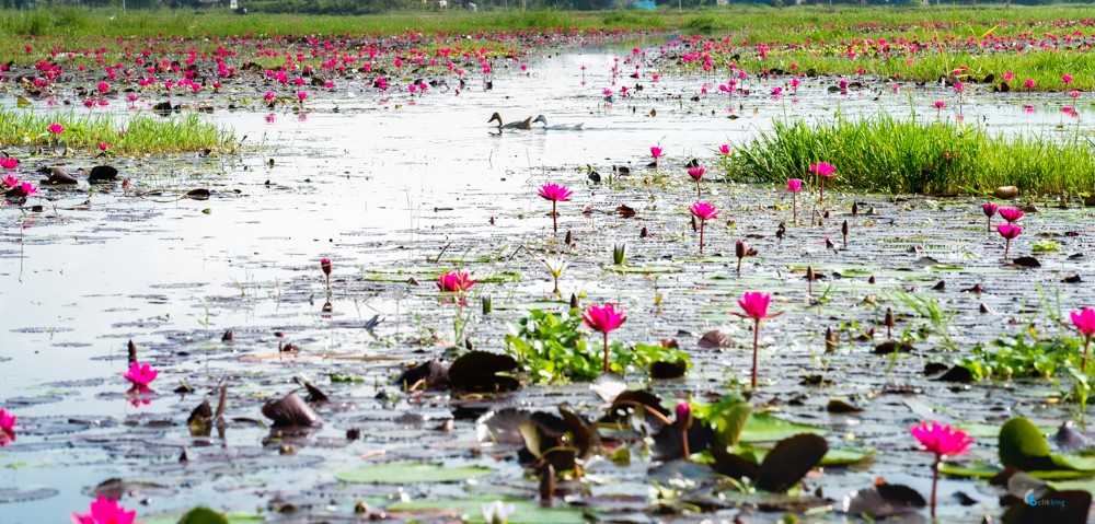 Inle Lake Myanmar Revisited