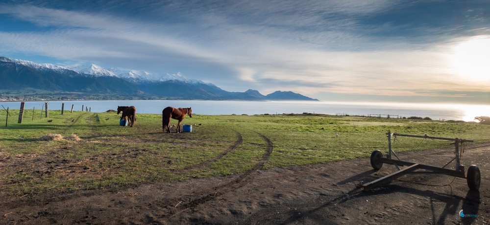 South Island Holiday 2021