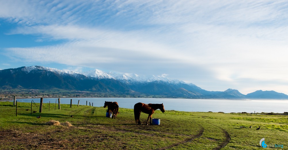 Kaikoura