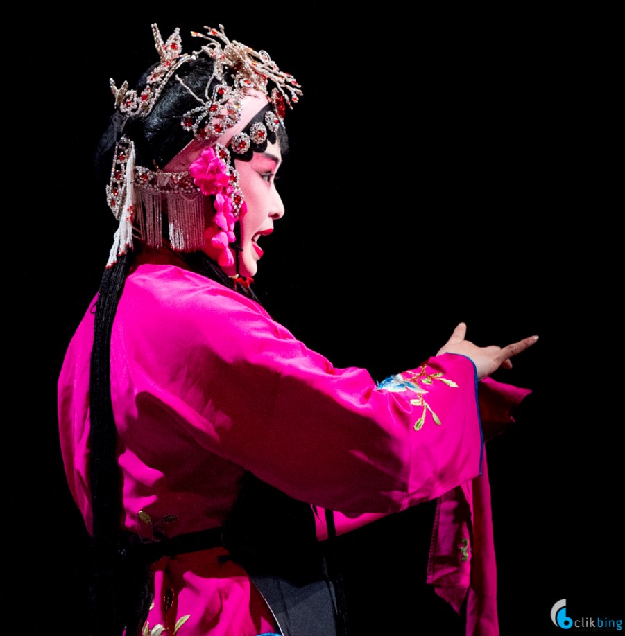 Chinese New year Concert 2015 Photographic Highlights