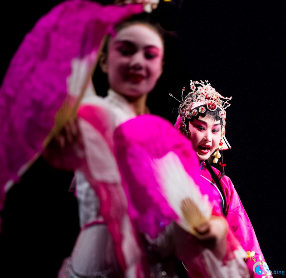 Chinese New year Concert 2015 Photographic Highlights