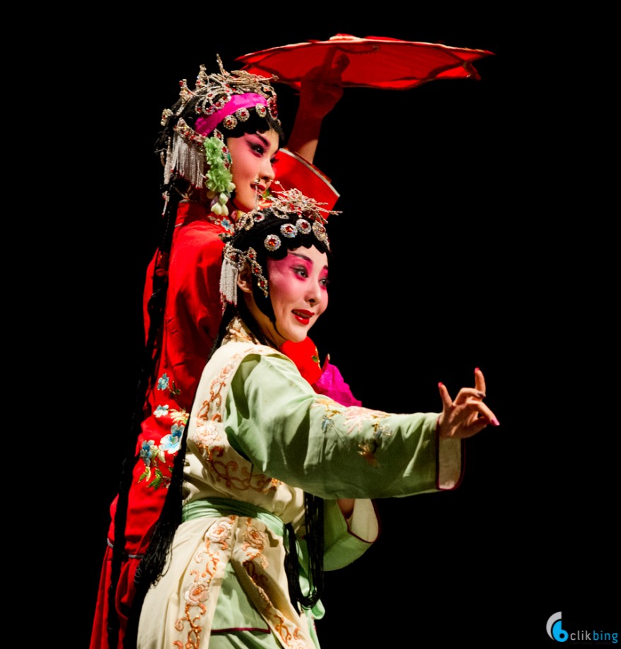 Chinese New year Concert 2015 Photographic Highlights