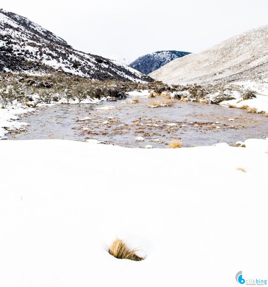 Lake Coleridge