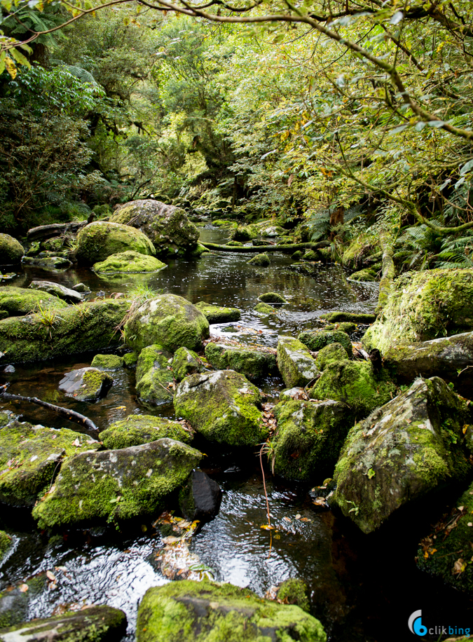 McLean falls