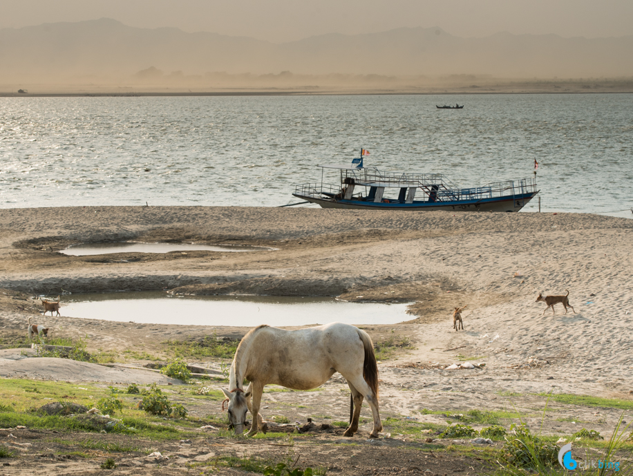 Ayeyarwady River