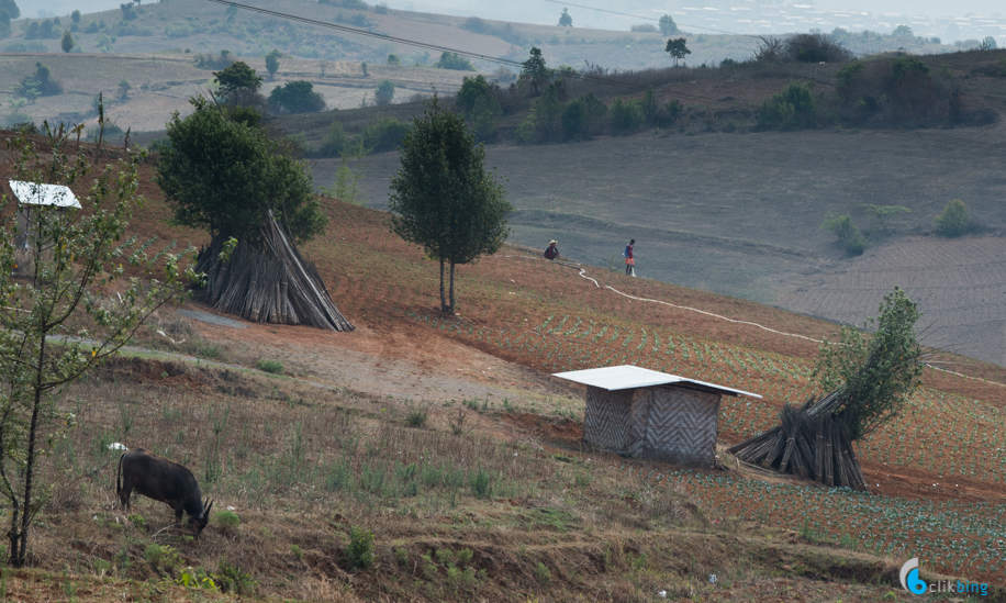 Kalaw-Inle trekking