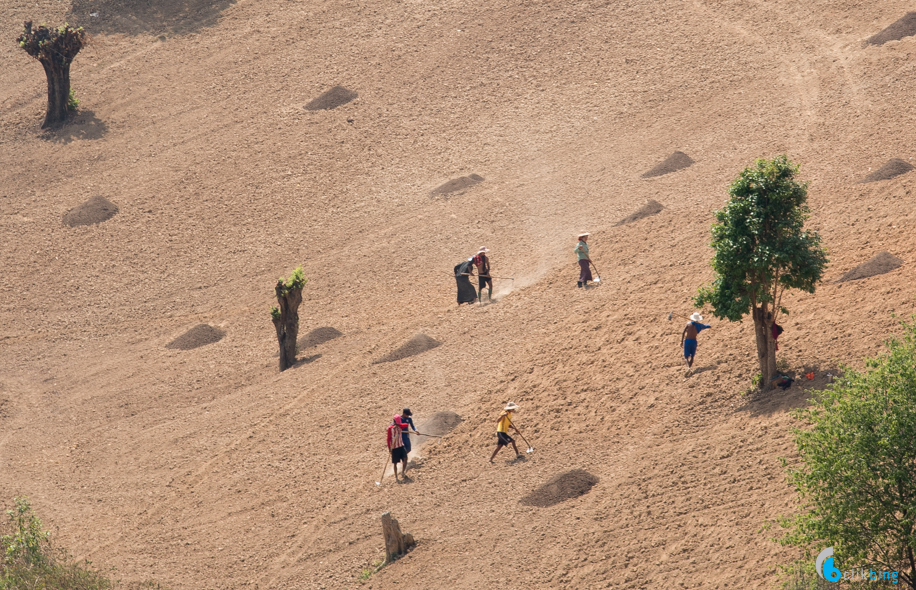 Kalaw-Inle trekking