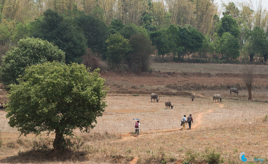 Kalaw-Inle trekking