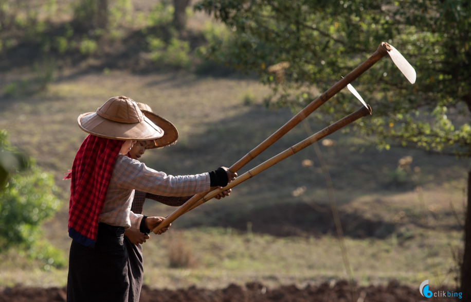 Kalaw-Inle trekking