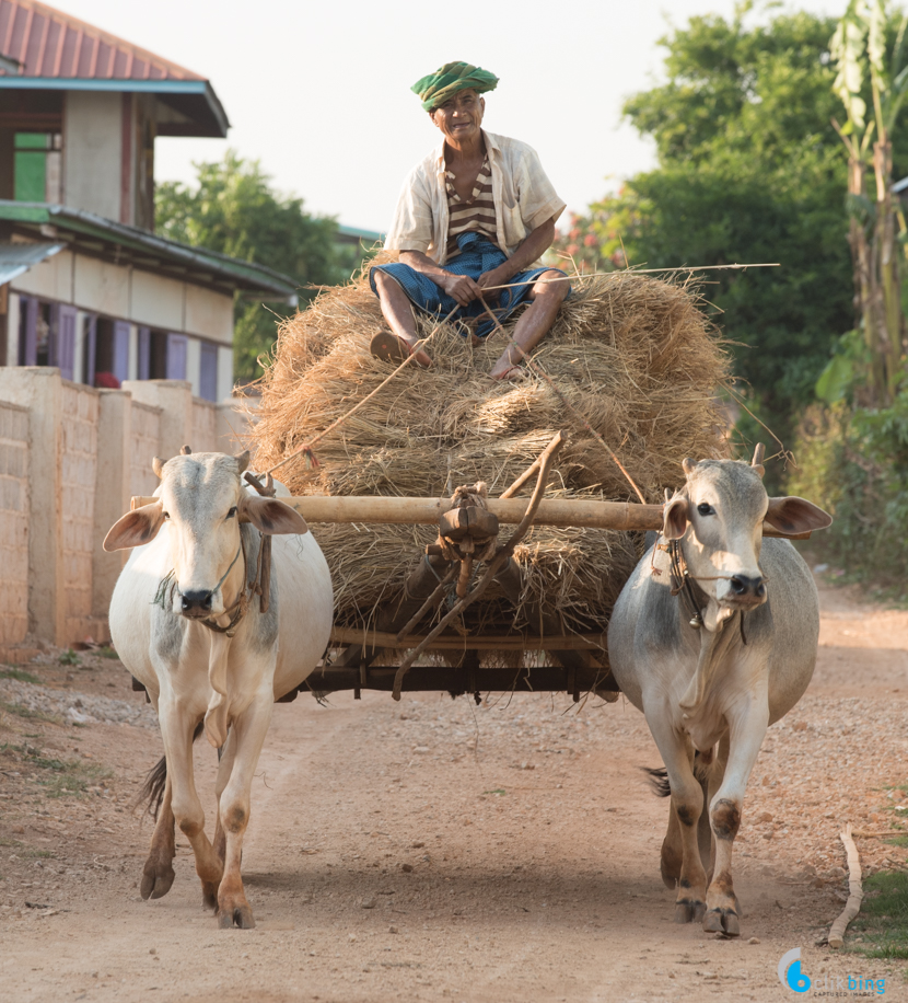 Kalaw-Inle trekking