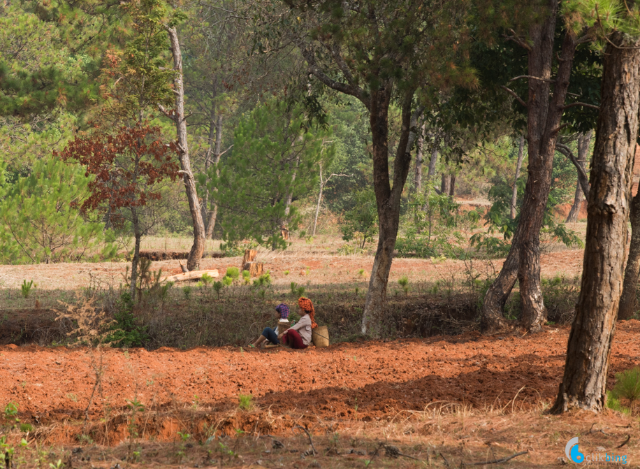 Kalaw-Inle trekking