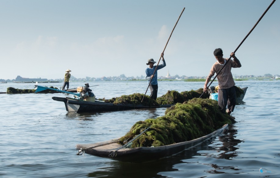 Inle Lake