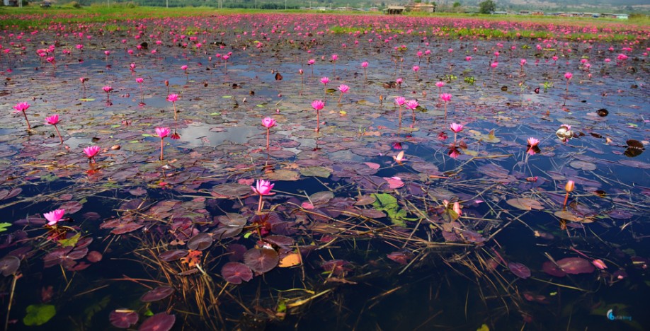 Inle Lake