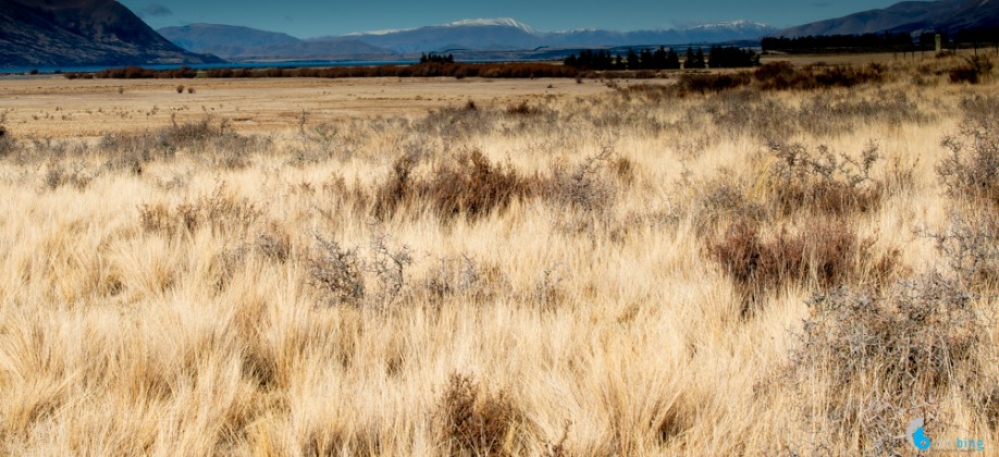 Central Otago