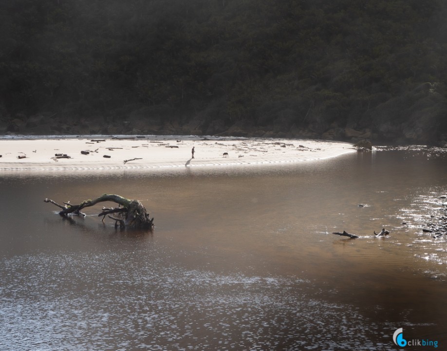 Karamea the Friendliest Town in NZ ?